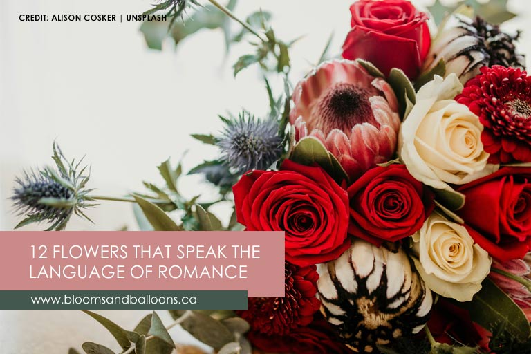 12 Flowers That Speak the Language of Romance