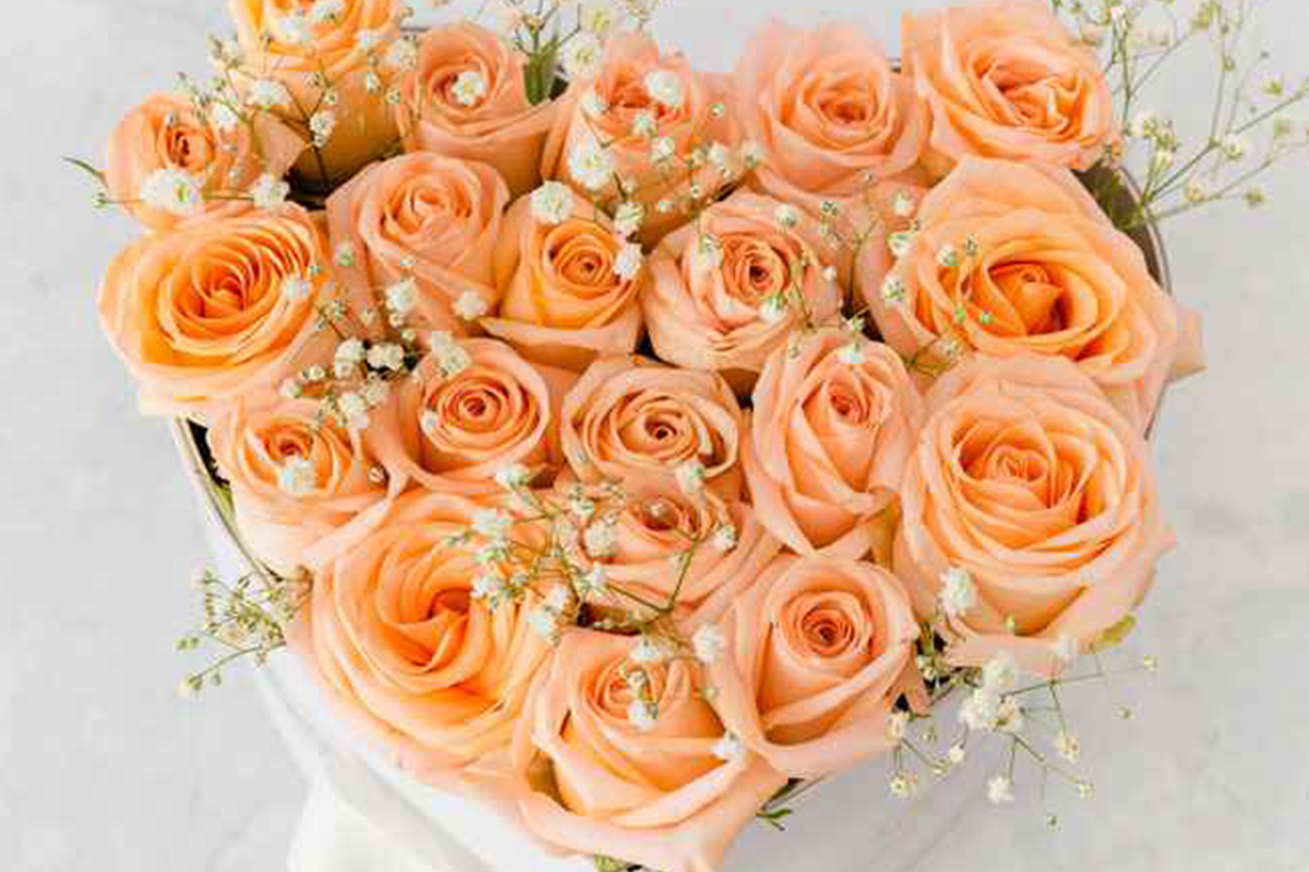 Why-Flower-Delivery-in-Guelph-is-Perfect-for-Toronto-Fringe-Artists-