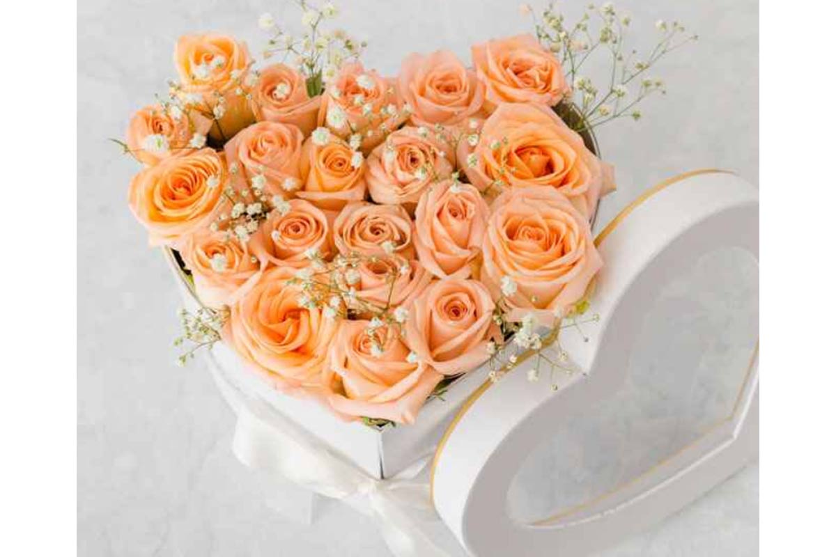 Elevate-Your-Watch-Party