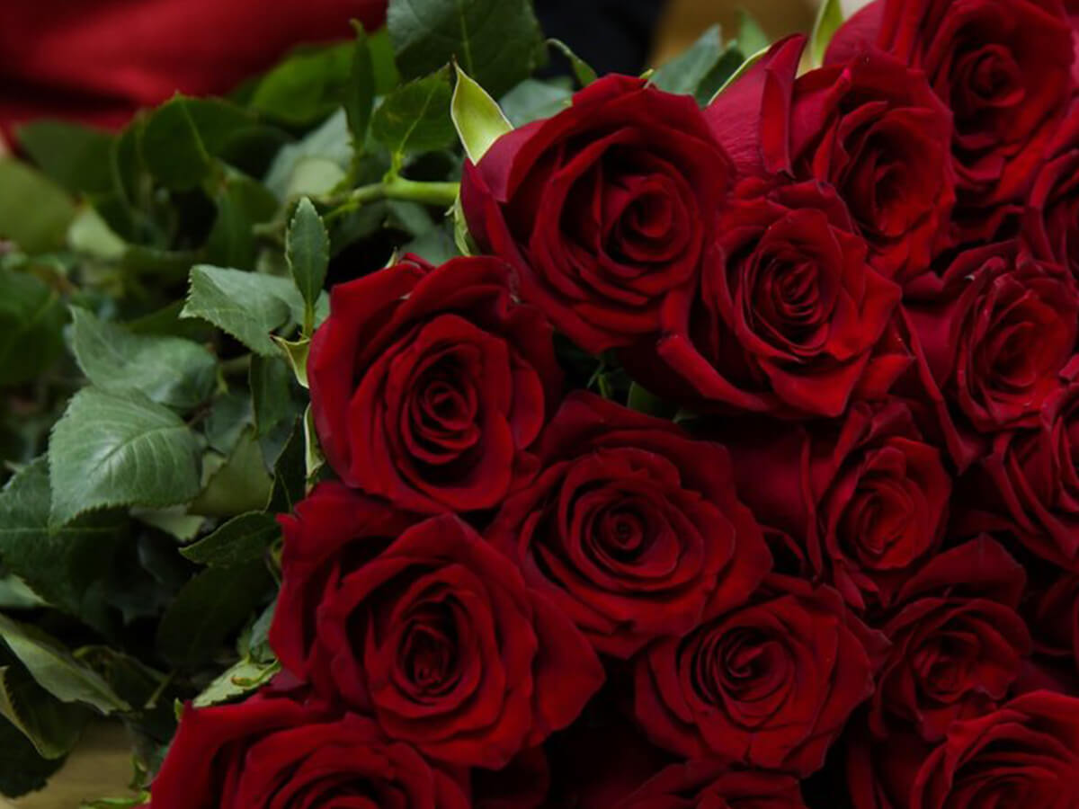 Festive-Red-and-White-Blooms-Your-Waterloo-Flower-Delivery-Guide-for-Sports-Fans