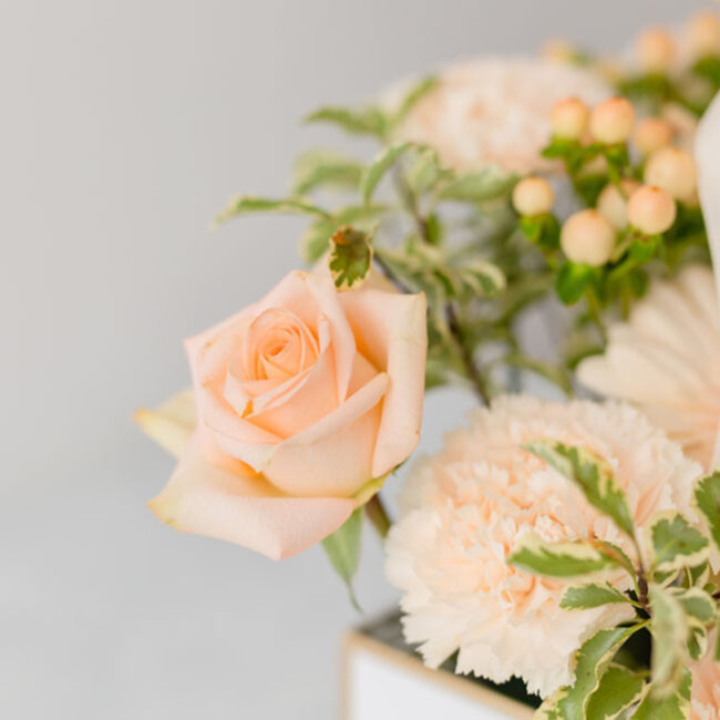 A-Living-Expression-of-Festival-Spirit