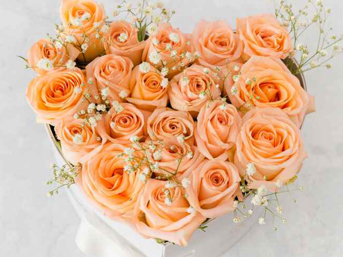 Guelph’s-Guide-to-Tea-Time-Flowers-Best-Blooms-to-Pair-with-Your-Toronto-Tea-Festival-Sips